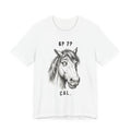 Tricou cu Cai 67 ‘cal’